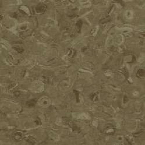 Linolejs Grabo Fortis Mocca 1675, 2m