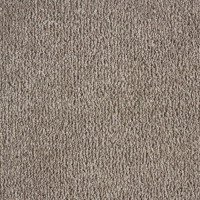 Rose Masterback 400 155 Pigeon